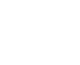 



CHICAGO ROW  HOUSE
